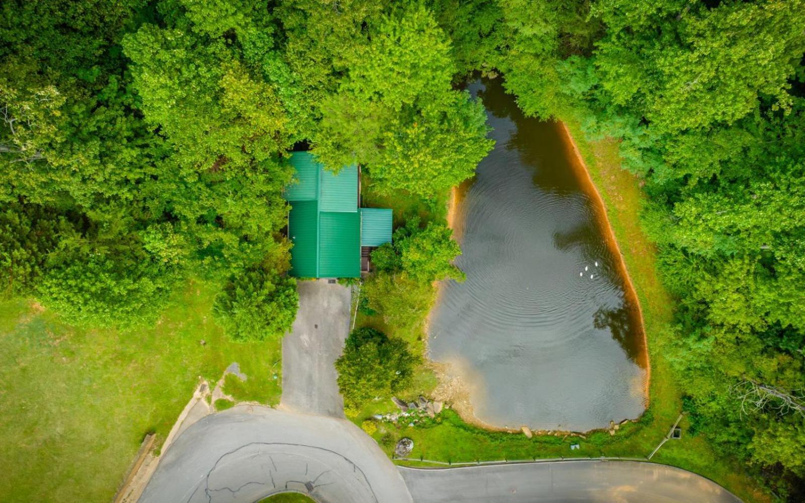 Hugs N Kisses Pool Table Hot Tub Pool Table Community Pool Close To Downtown Gatlinburg Buitenkant foto